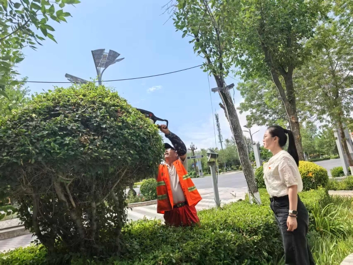 第七师住建局住房发展中心组织党员开展城市绿化养护工作